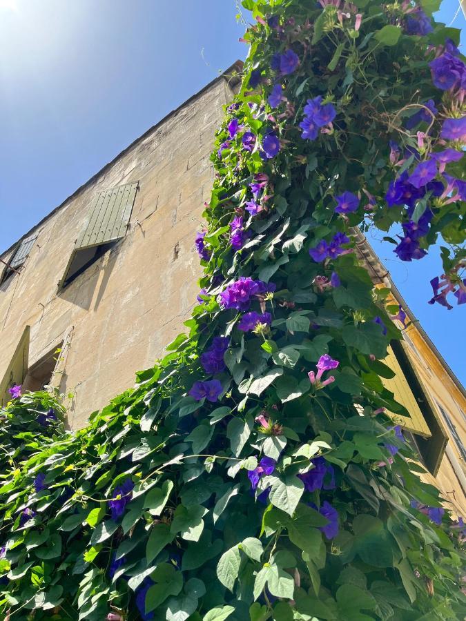 Le Donjon De La Roquette Apartamento Arlés Exterior foto